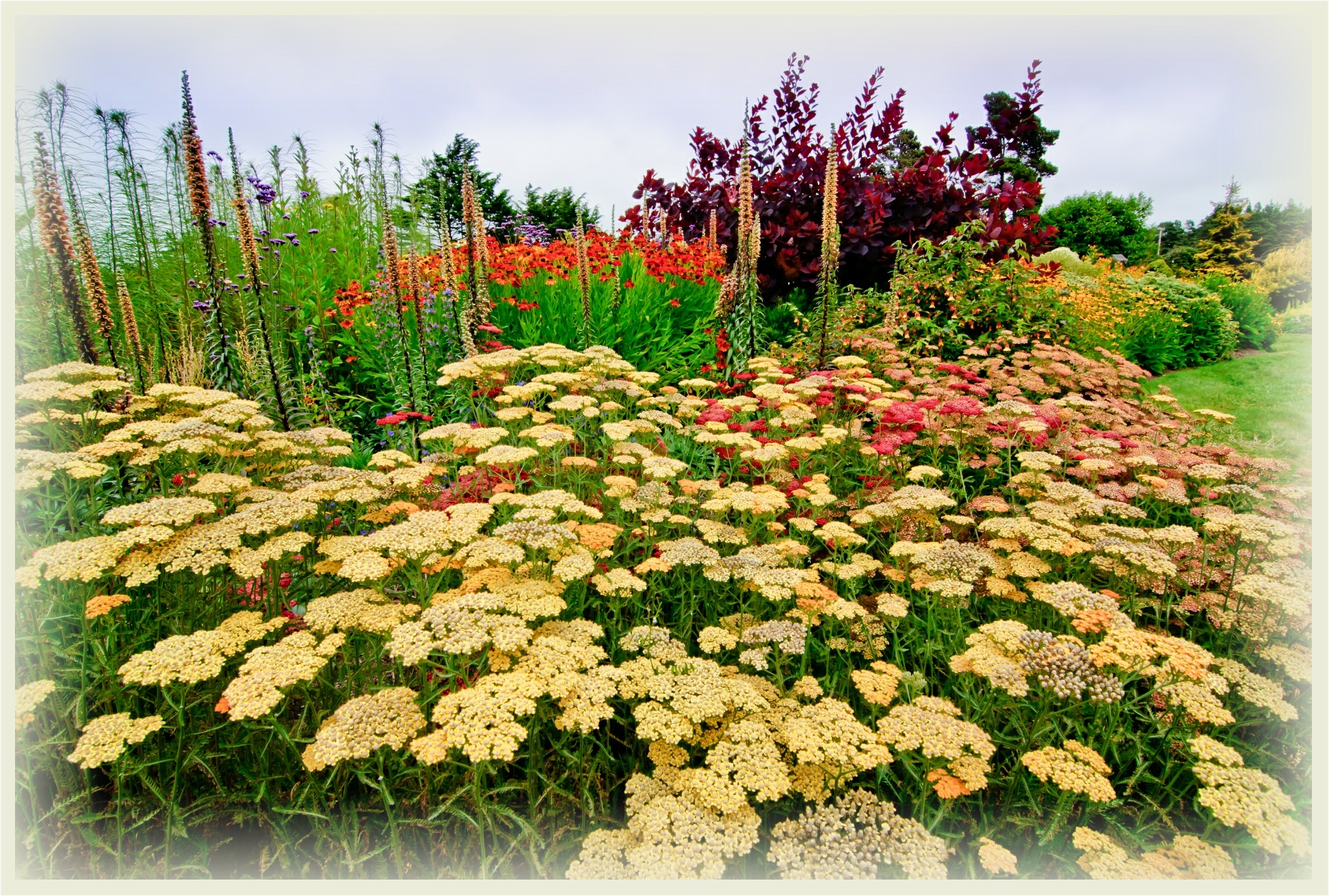 doug-pollard_yellow-flowers_parchment_bkgd_1943x1310