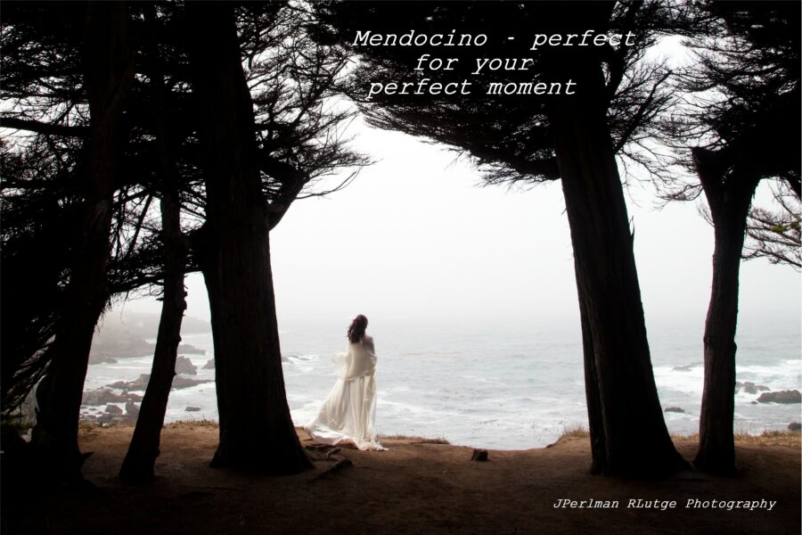 Mendocino - perfect for your perfect moment. Andrea gazes out to sea at Cypress Grove after her Elope Mendocino wedding.