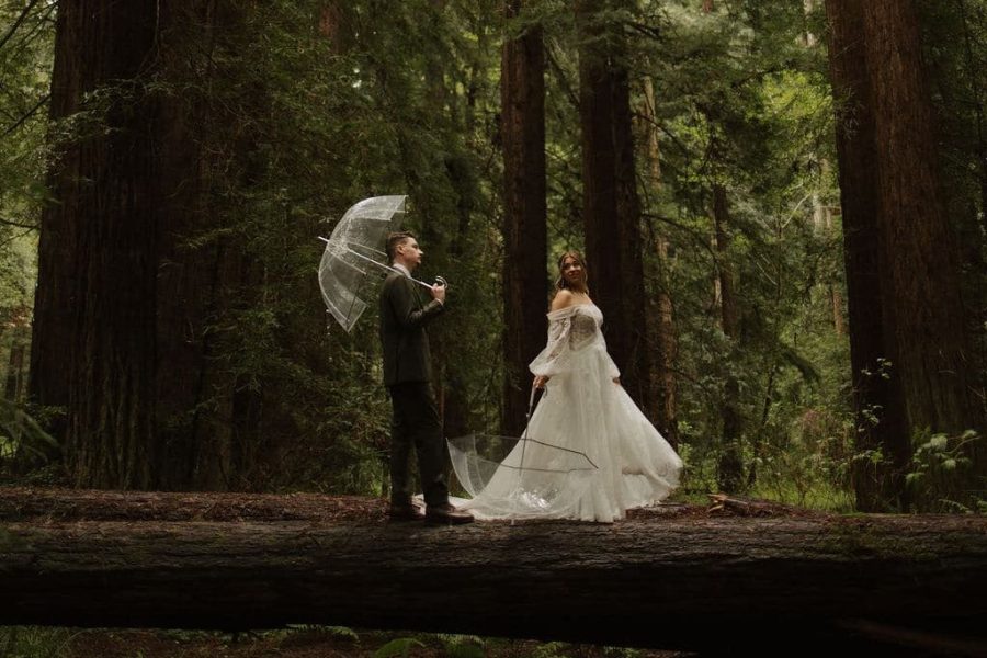 Bride and groom on log in redwood forest